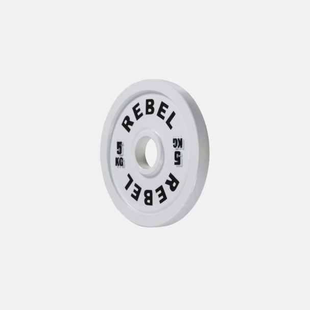 Calibrated Steel Plates_5kg_Angle